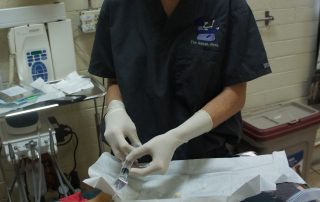 Veterinary technician performing surgery on a dog at Northern Arizona emergency pet hospital
