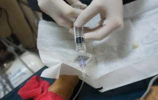 Veterinarian performing close-up examination and treatment on dog patient named Calo
