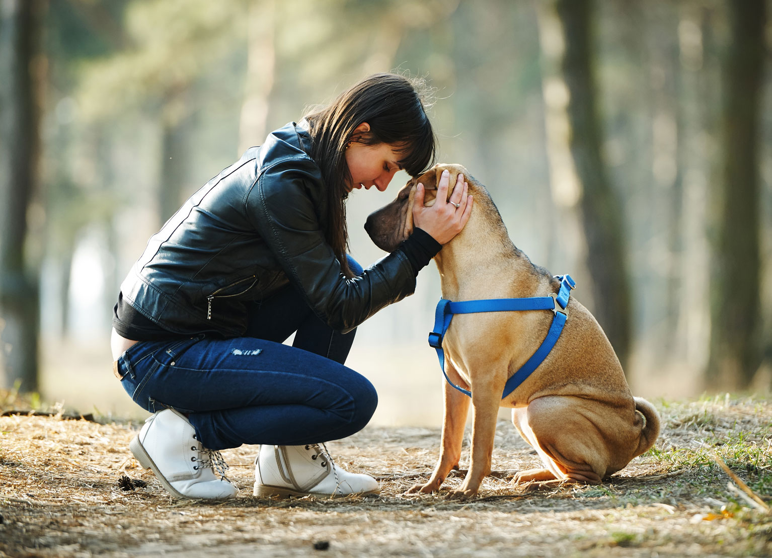 Veterinary team member at Veterinary Emergency and Specialty Center of Northern Arizona