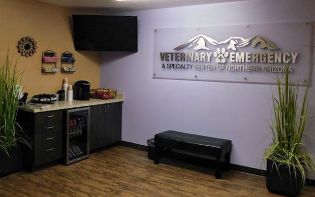 Welcoming veterinary clinic lobby at VESCNA providing a comfortable space for pet owners in Flagstaff
