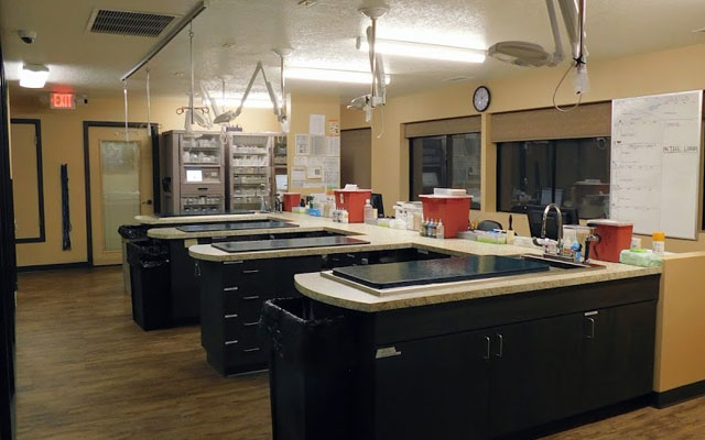 Emergency veterinary treatment area with clinical equipment for specialty pet care in Northern Arizona
