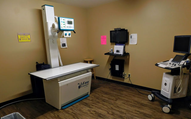 Veterinary X-ray imaging used for pet diagnostics at an emergency animal hospital
